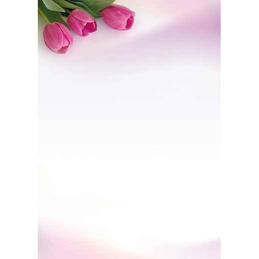 Tulipaner m�nster A4 papir satin delux 50 stk.