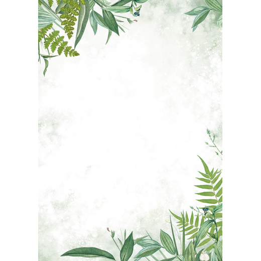 Flora m�nster A4 papir satin delux 50 stk.