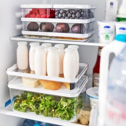 Rotho Rondo Cauma - Opbevaringsbeholder Til Mad - 1,2L