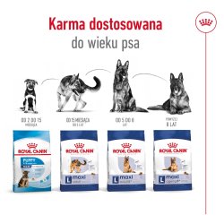 Royal Canin Maxi Adult - Trfoder Til Hunde - 15 Kg