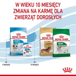Royal Canin Shn Mini Puppy - Tr Hvalpefoder - 4 Kg