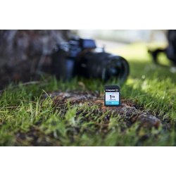 Kingston Canvas Go! Plus 1Tb Sdxc Canvas Go Plus Gen4 200Mb/S C10 Uhs-I U3 V30