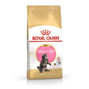 ROYAL CANIN Maine Coon Kitten - trfoder til kattekillinger -  2 kg