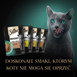 Sheba Delicacy Drobiowe Smaki W Galaretce - Mokra Karma Dla Kota - 40X85 G