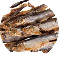 PETITTO Dried sprats - godbid til hund - 250g