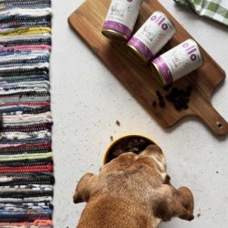 OLLO Umami Lamb and beef - vdfoder til hunde - 850g