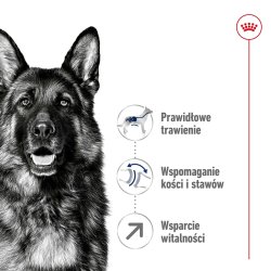 Royal Canin Maxi Adult 5+ - Trfoder Til Hunde - 15 Kg