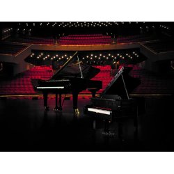 Lego Id&eacute;er 21323 Grand Piano