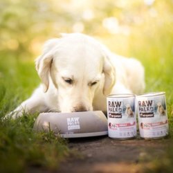 RAW PALEO Adult Monoprotein Pork - vdt hundefoder - 400 g