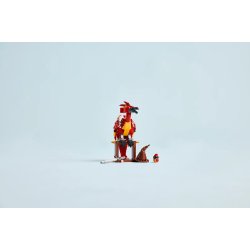 Lego Harry Potter 76448 Fawkes: Dumbledores Phoenix