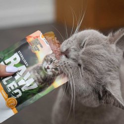 RAW PALEO Adult Cat Sterilized Kalkun - vd kattefoder - 100 g