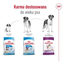 Royal Canin Giant Adult - Trfoder Til Hunde - 15 Kg