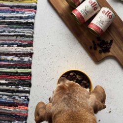 OLLO Pure Pork - vdfoder til hunde - 850g