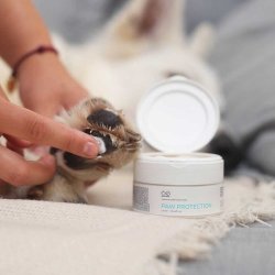 Vet Expert Paw Protection - Beskyttende Salve Til Poter Til Hunde Og Katte - 75 Ml