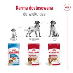 Royal Canin Shn Medium Voksen I Sauce - Vdfoder Til Voksne Hunde - 10X140g