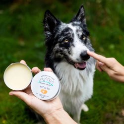 Jm Sante Naturlig Nsebalsam Til Hunde Og Katte  60 Ml