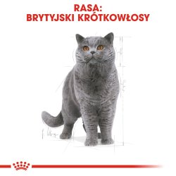 Royal Canin British Shorthair - Trfoder Til Kat - 2 Kg