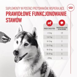 Royal Canin Kosttilskud Hundeled Og Aldrende Voksen - Hundevitaminer - 240G