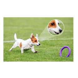 Imou IP Bulb Cam 5Mp Ipc-S6dp, 5 MP (2880 X 1620)