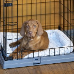 FERPLAST Superior 90 - Hundebur - 92 x 58,5 x 62,5 cm