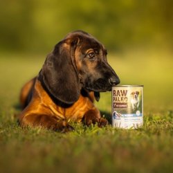 RAW PALEO Puppy Monoprotein Cod - vdfoder til hvalpe - 400 g