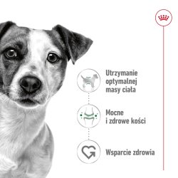 Royal Canin Adult Mini S - Trfoder Til Hunde - 8 Kg