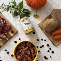 OLLO Pure Turkey - vdfoder til hunde - 850g