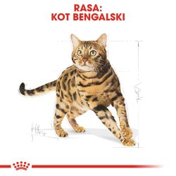 Royal Canin Fbn Bengal Voksen - Trfoder Til Kat - 10 Kg