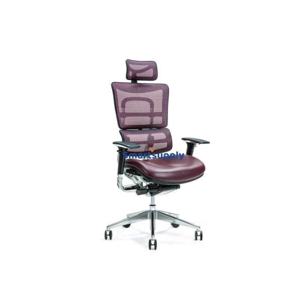 Ergonomisk Kontorstol Ergo 800 Blomme