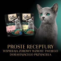 Sheba Kitten Udvalg Af Smag I Sauce - Vdfoder Til Katte - 40X85 G