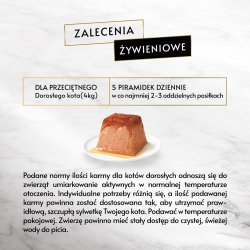 PURINA Gourmet Revelations Salmon - vdfoder til katte - 2x57 g