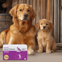 Jm Sante Multiway Vet Duocaps Osteo - Twist-Off Kapsler Til LED Til Hunde Og Katte  60 Stk
