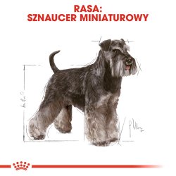 Royal Canin Dvrgschnauzer Voksen - Trfoder Til Hunde - 3 Kg