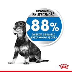 Royal Canin Ccn Mini Light Weight Care - Trfoder Til Voksne Hunde - 3 Kg