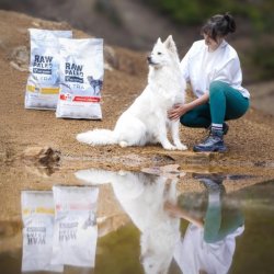 RAW PALEO Ultra Medium&Large Adult Kalkun - t�rt hundefoder - 2 kg