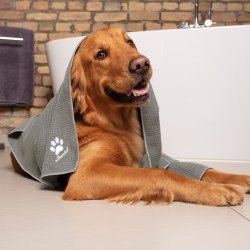 Vileda Pet Pro L Mikrofiber Kledyrshndklde