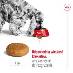 Royal Canin Shn Medium Voksen - Trfoder Til Hunde - 15 Kg