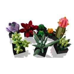 Lego Icons 10309 Succulenter
