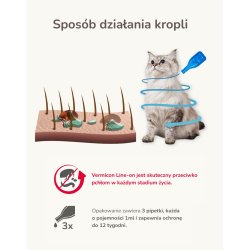 Beaphar Parasitdrber til katte - 3x 1ml