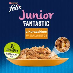 Felix Fanstastic Junior - vdfoder til katte - 85 g