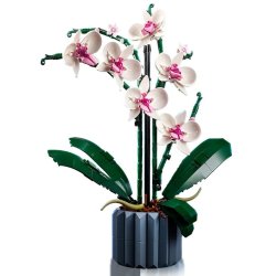 Lego Icons 10311 Orkide