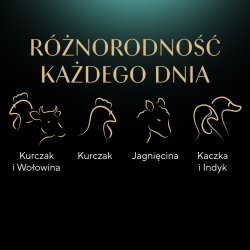 Sheba Selection I Sauce Juicy Flavors 12 X 85 G