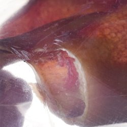 Hundetygge Petmex Flskere 40G 1Stk