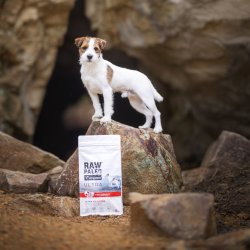 RAW PALEO Ultra Mini Adult Oksekd - trt hundefoder - 2 kg