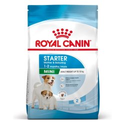 Royal Canin Shn Mini Starter Mother &amp; Babydog - Trfoder Til Hunde - 4 Kg