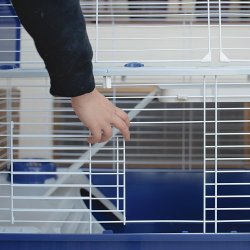 FERPLAST  Barn 80 - Bur