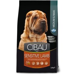 Farmina Pet Food SENSITIVE LAMB MEDIUM & MAXI 14 kg Voksen