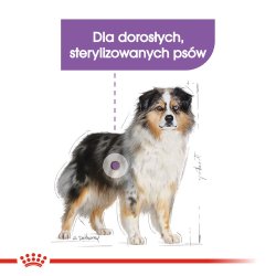 Royal Canin Medium Steriliseret Trfoder Til Hunde - 3 Kg
