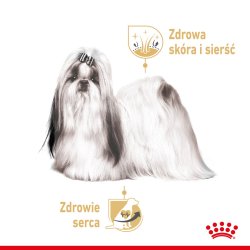 Royal Canin Shih Tzu Voksen Vdfoder Til Hundepostej 12X85 G