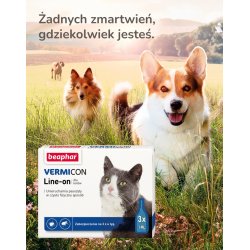 Beaphar Parasitdrber til katte - 3x 1ml